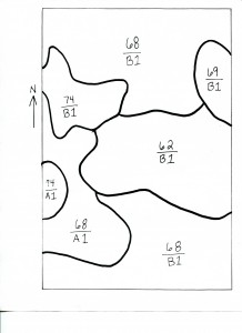 Soil Zones on The Land