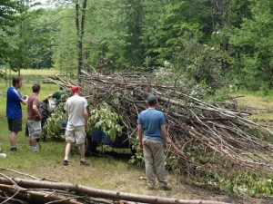 Workers helping to clear brush.