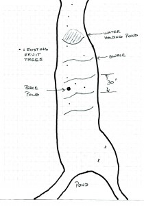 Field with Food Forest Swales and Holding Pond